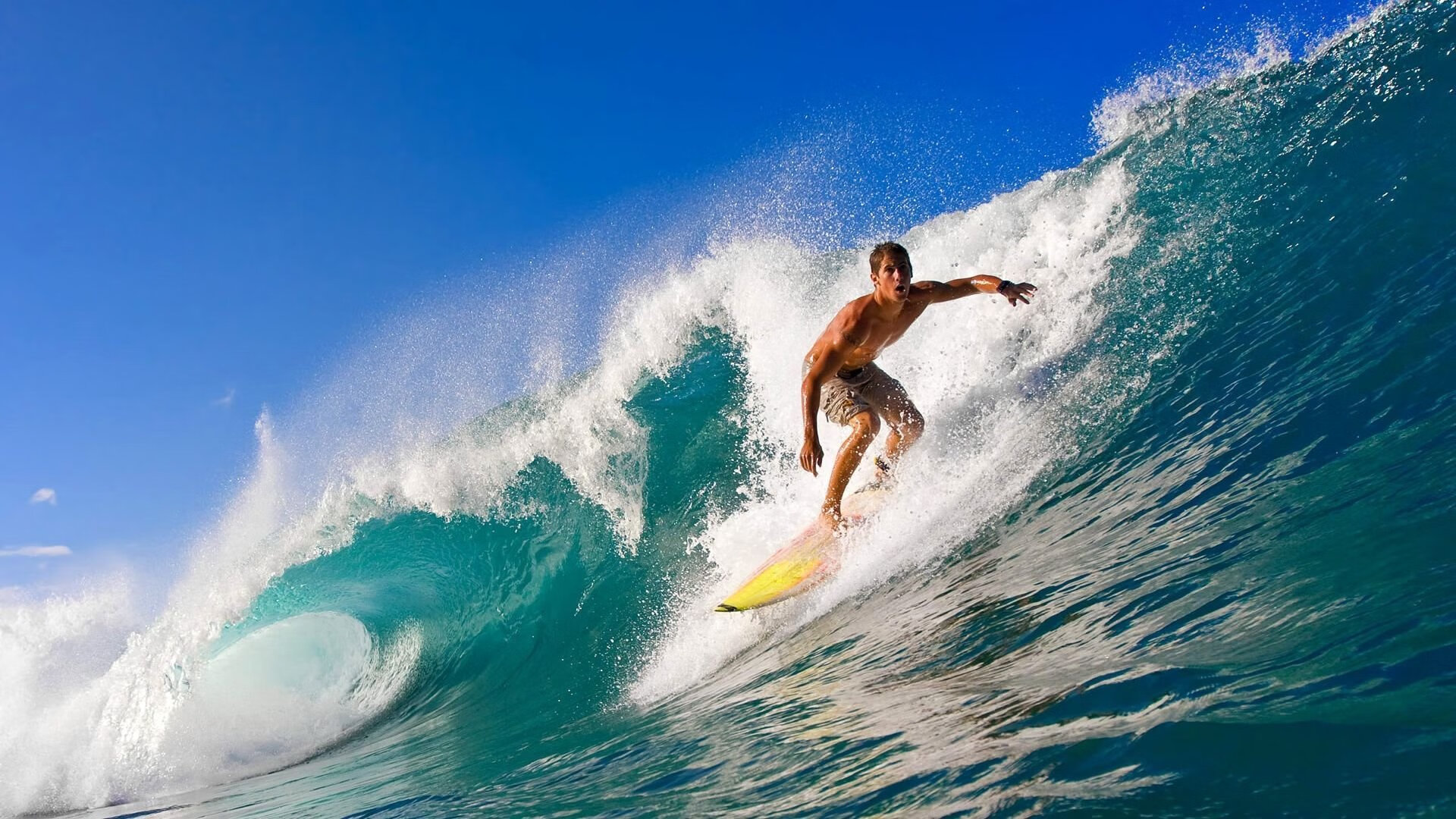 开云体育中国-布伦森爆发,辽宁队最后时刻击败猛龙 第2张 开云体育中国-布伦森爆发,辽宁队最后时刻击败猛龙 第2张